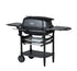 PK Grills - PK300 Portable Charcoal Grill & Smoker