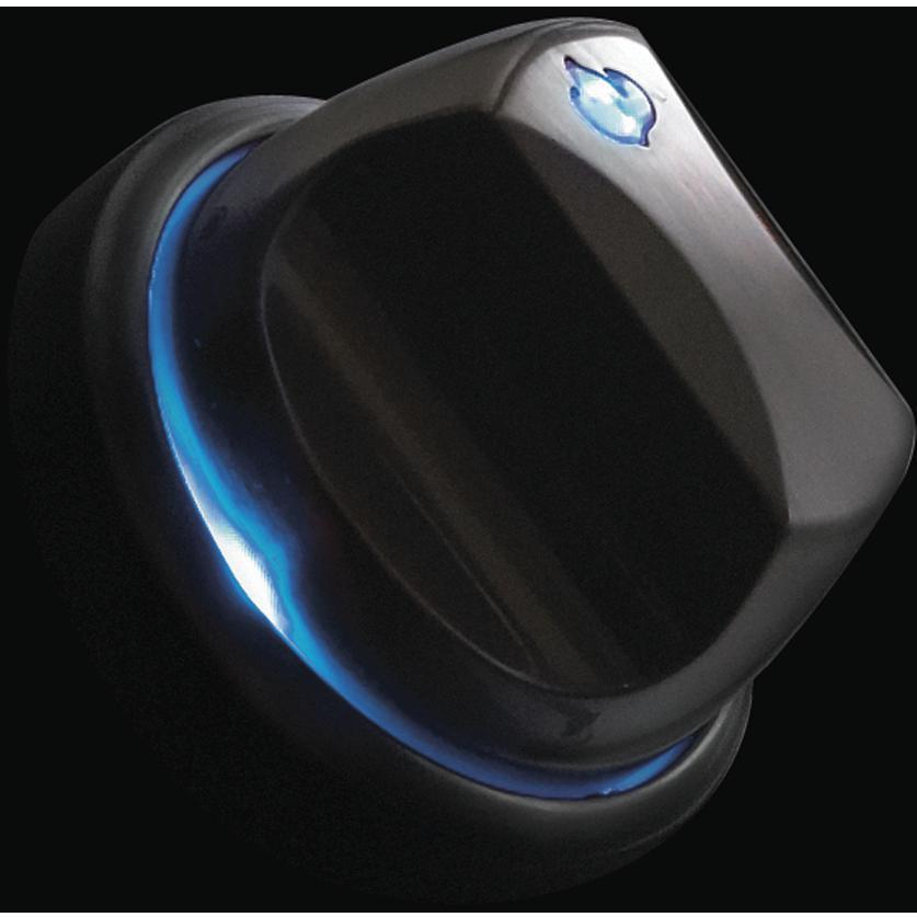 Napoleon LEX 605 Built In BBQ