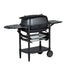 PK Grills - PK300 Portable Charcoal Grill & Smoker