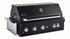 Sirius Black Built-In 5 Burner Gas BBQ - SIR-BG3101-BLK