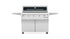 Tucker R Class V10 5 Burner Cabinet BBQ (RV10SC-X+PK)