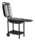 PK Grills - PK300 Grill & Smoker