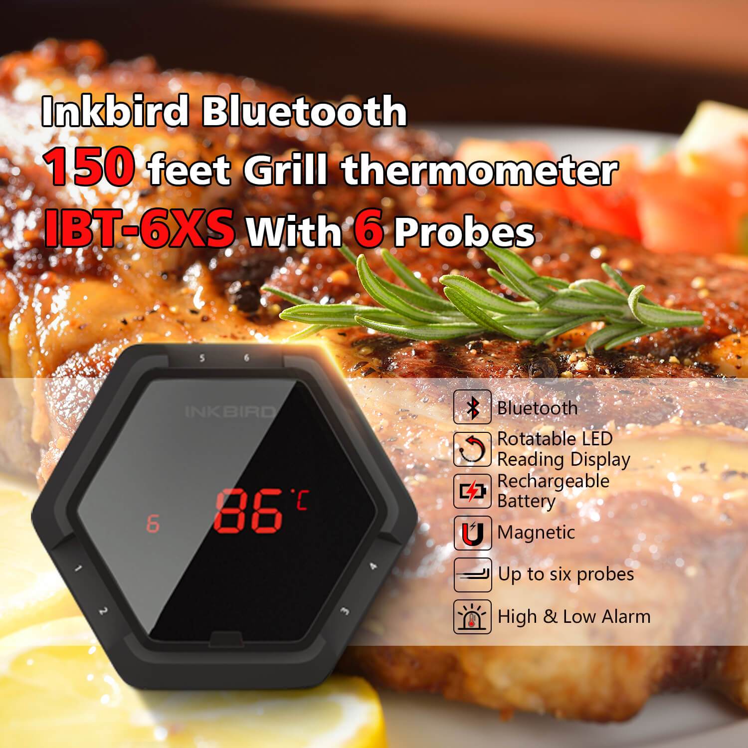 Inkbird 6 Probe Digital Thermometer
