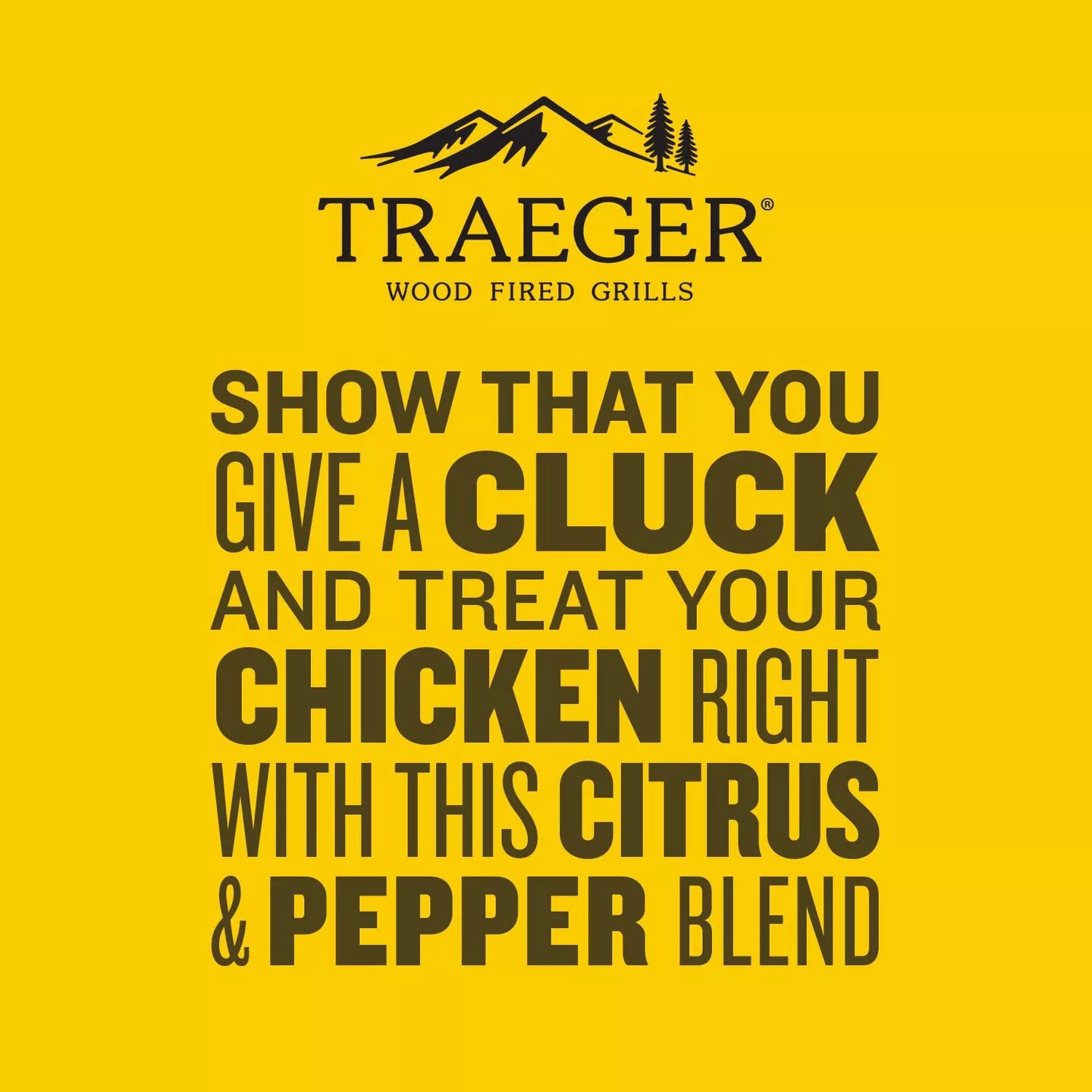 Traeger Chicken Rub - 200g