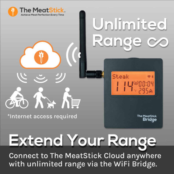 The MeatStick X Set – 260 Ft Wireless Range